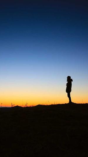 seo网站设计截图3