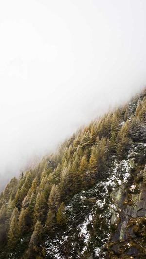 蜘蛛池出租打广告截图1