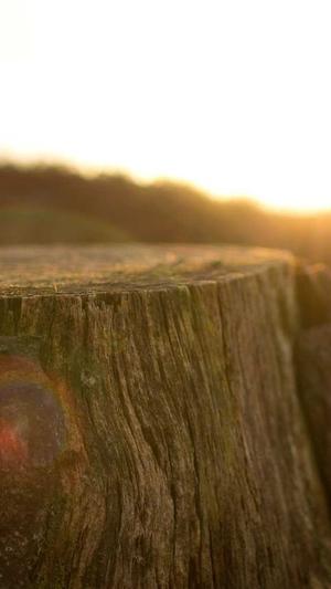 泛目录推广平台截图5