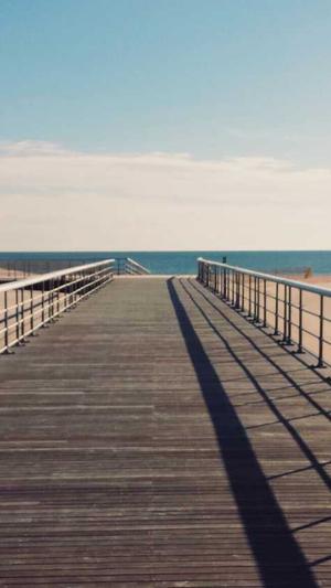 百度蜘蛛池出租选哪家截图1