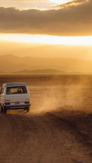 蜘蛛池建设多少钱截图3