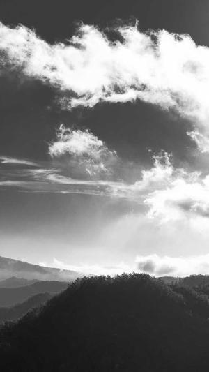 网站建设资料截图3