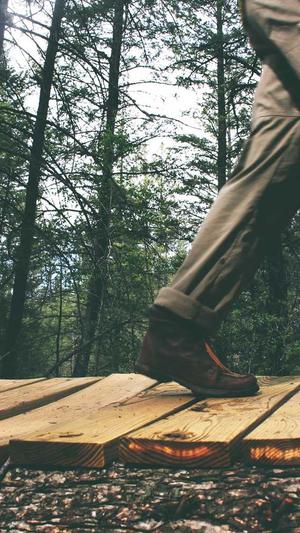 泛目录站群教程截图1