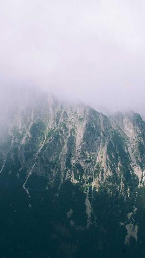 seo免费外链工具截图1