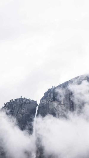 蜘蛛池收录网站截图5