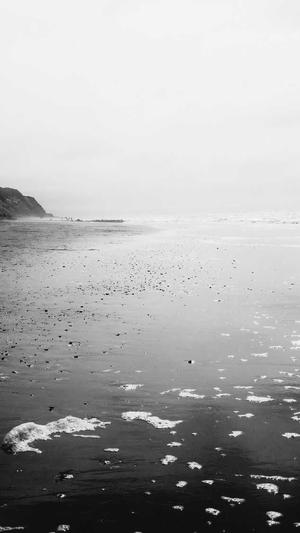 蜘蛛池有几种类型的截图1