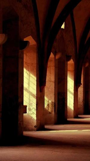 蜘蛛池会被占满吗知乎截图1