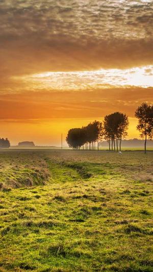 泛目录站群怎么操作截图4