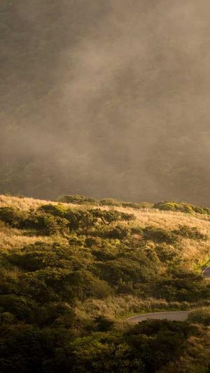 超级seo外链工具什么用截图5