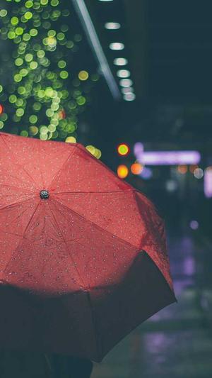 石家庄seo推广工具截图4