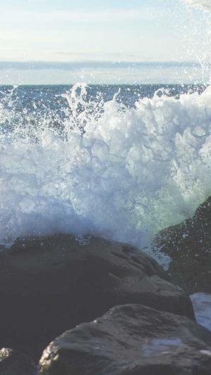 泛目录站群生成程序截图3