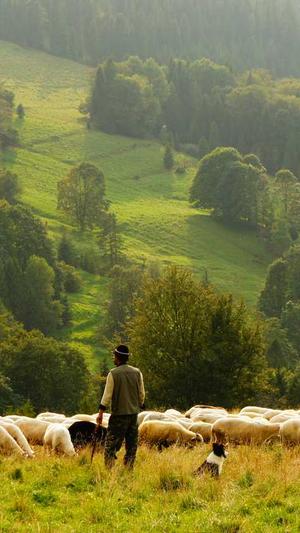 搜狗蜘蛛池关键词截图2