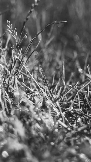 蜘蛛池正确养方法截图5