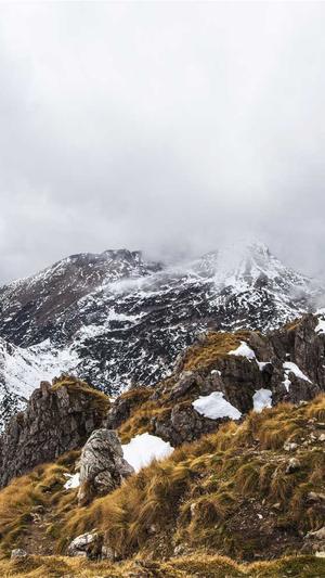 在线seo工具截图4