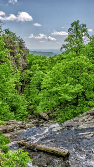 泛目录有用吗截图3