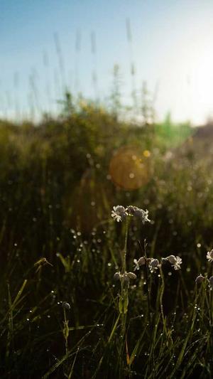 蜘蛛池多少钱一个截图2