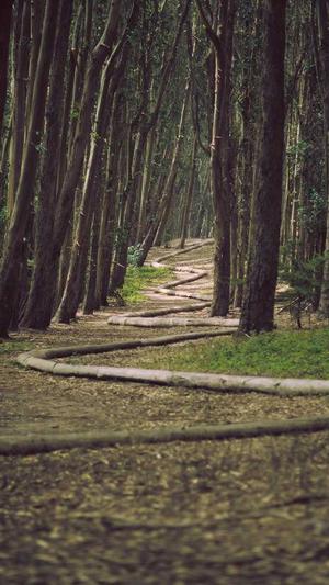 蜘蛛池快速提升排名截图3