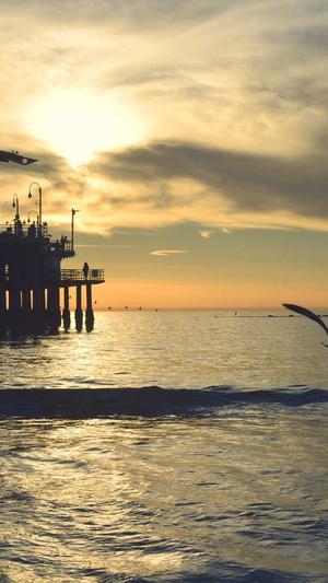 天津seo诊断截图4