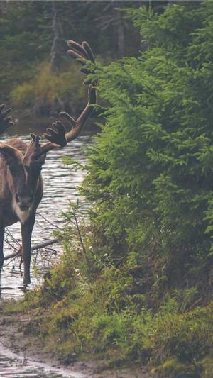 seo优化工具哪个好截图3