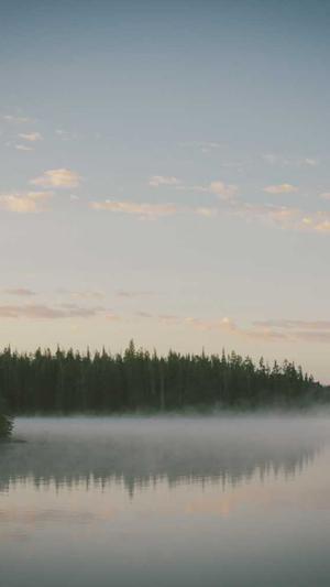 seo群发工具截图4