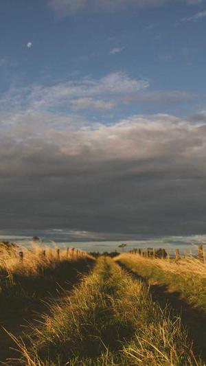 百度seo排名公司截图1