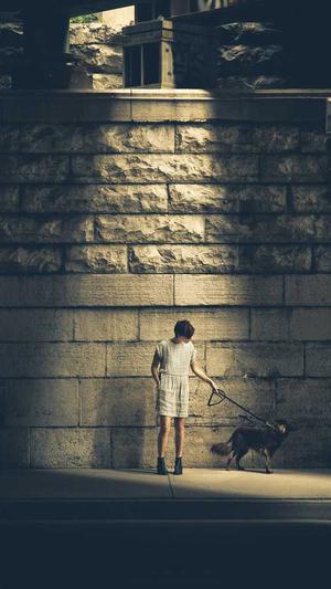 蜘蛛池的作用知乎截图4