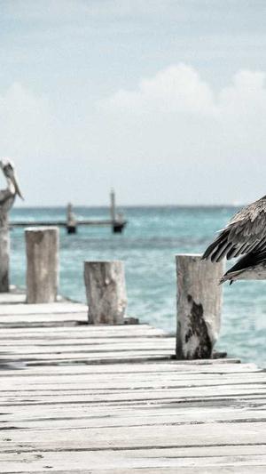 贵阳网站建设公司截图1