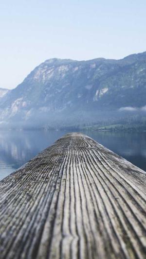 seo排名工具维芯cidun8截图4