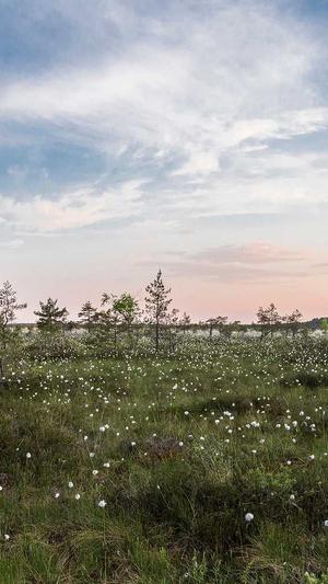 长沙网站建设截图1