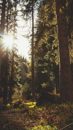 seo报价工具截图3