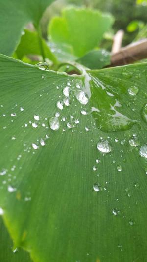 seo 站群优化蜘蛛池截图2