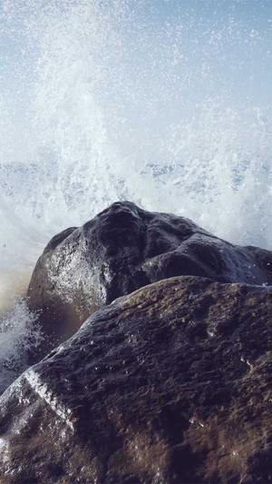 重庆网站seo案例截图5