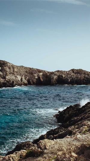 seo流程优化方法与工具截图5