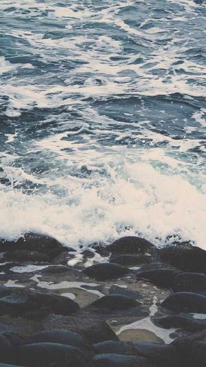 seo蜘蛛池作用截图2