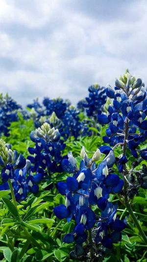 seo网站优化流程截图4