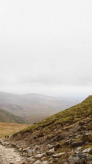 建设公司的网站建设截图2