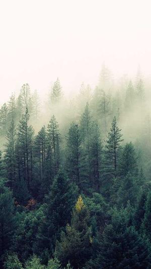 广州seo费用工具截图1