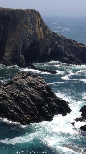 蜘蛛池怎么租截图3