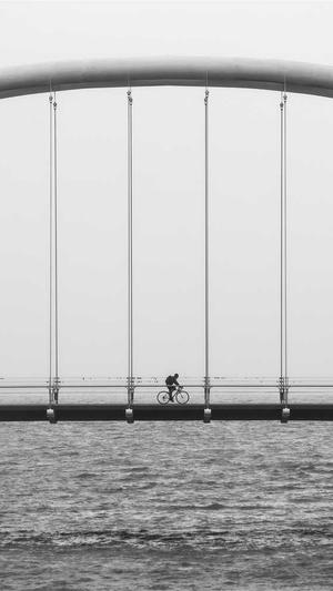 网站建设与维护截图3