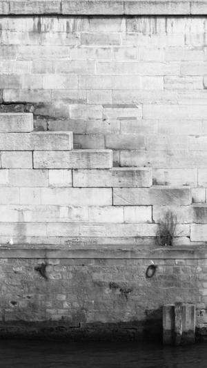 河南蜘蛛池出租截图2