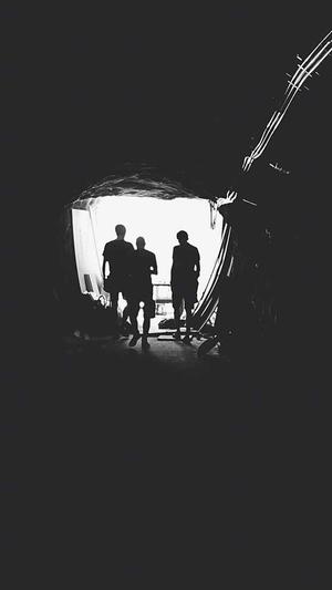 蜘蛛池正确养方法截图3