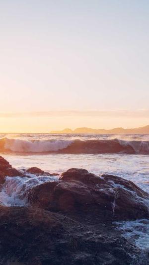 seo在线工具截图2