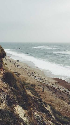 网站建设品牌策划截图2