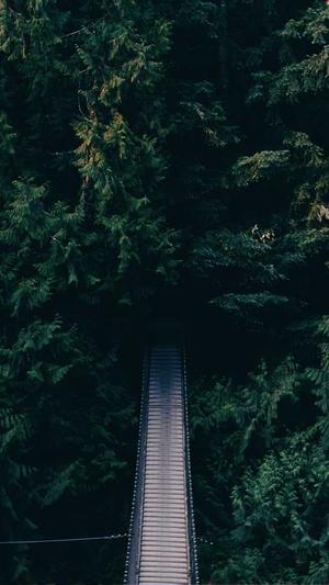 肇庆网站建设截图2