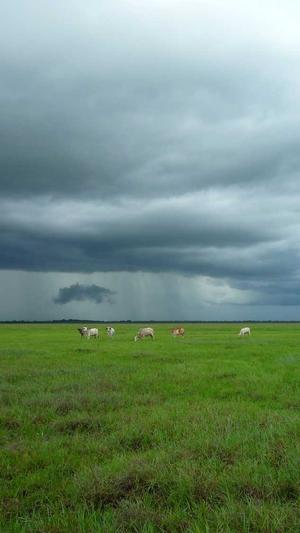 蜘蛛池工具全志zjkwlgs截图3