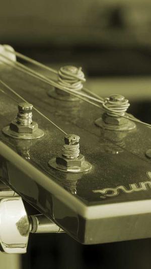 免费体验蜘蛛池游戏截图1