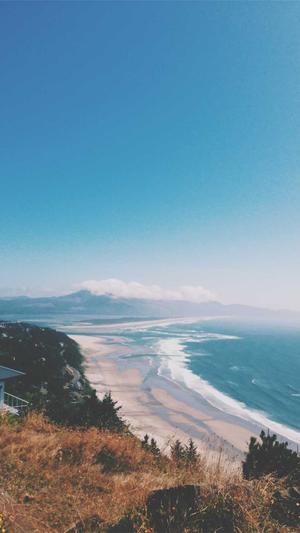 站长之家seo工具截图4