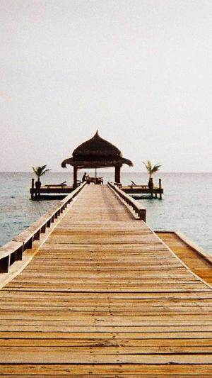 泛目录繁殖系统截图1