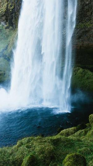 蜘蛛池出租提供商截图2