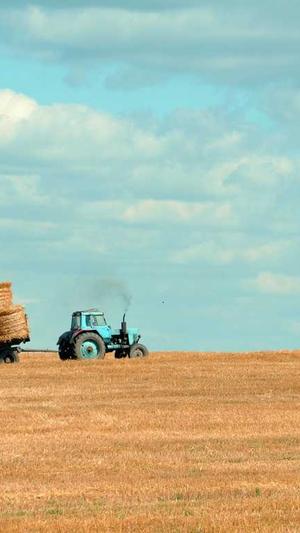 seo优化工具哪家好截图3